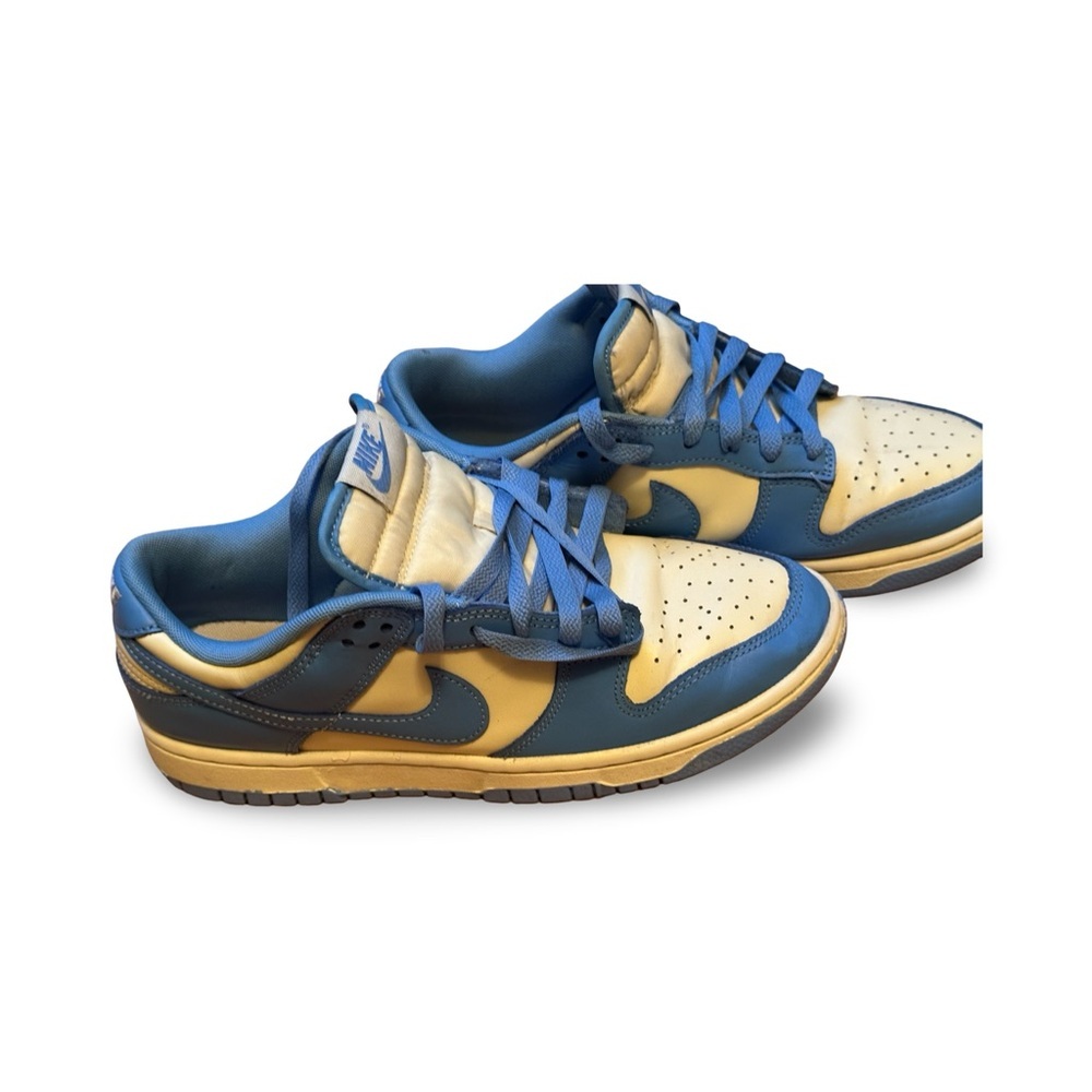 Nike Dunk Low Coast M 8